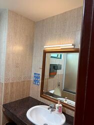 Palmwoods (D16), Condominium #546983321
